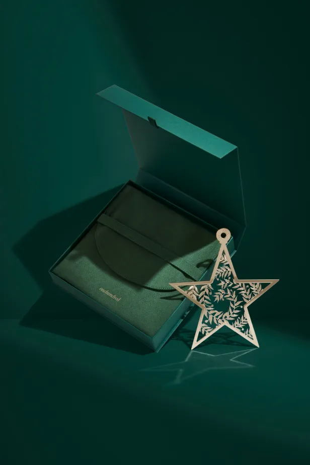 belepok_onehundred_gift_star_img01